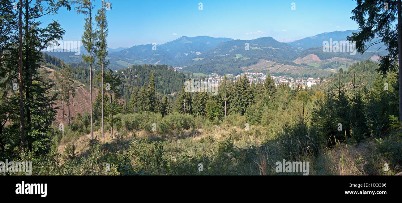 Mountainous forest in Kapfenberg, Austria. Panoramic view, blue sky, sunny summer day. Stock Photo