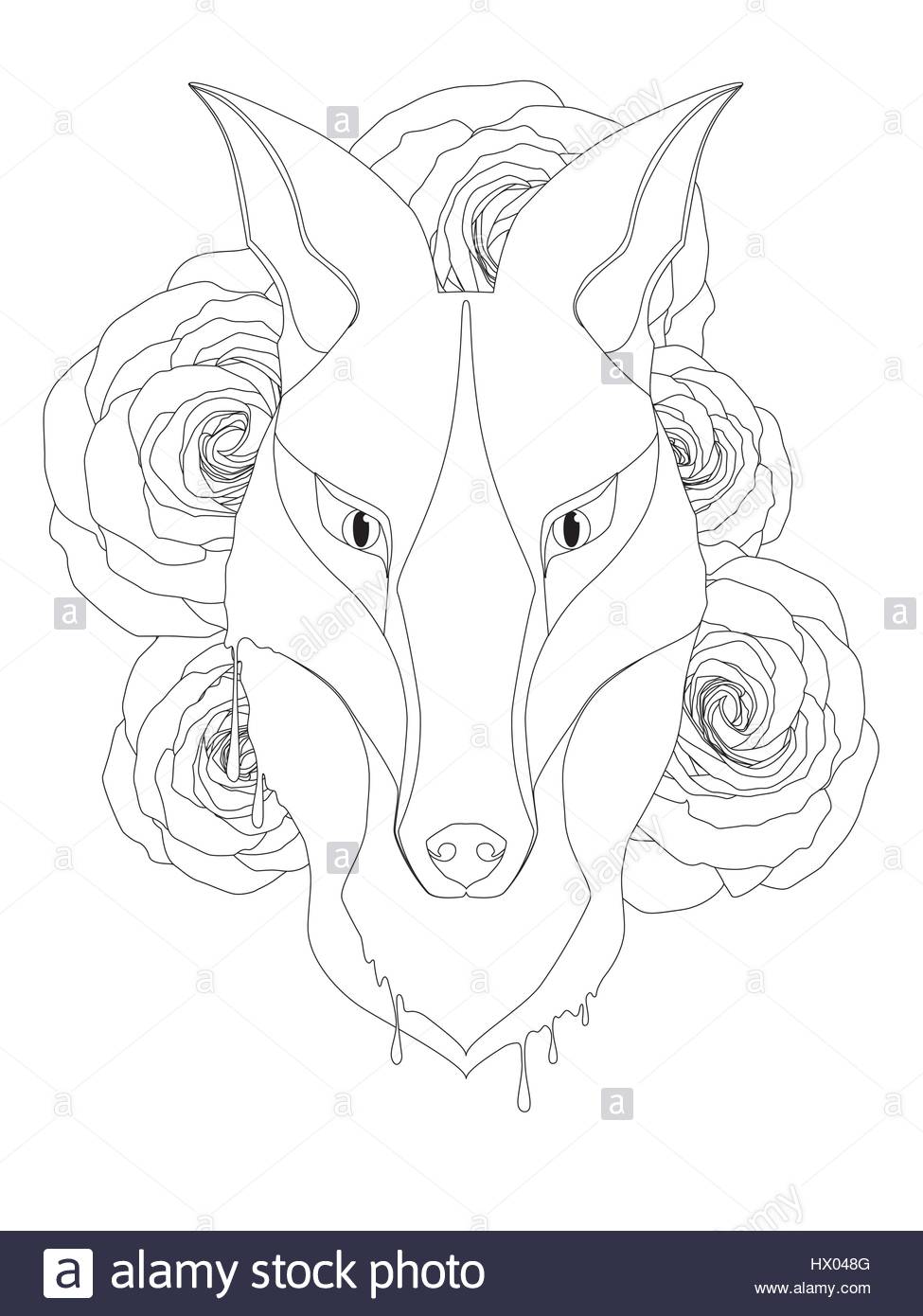 Fox Drawing Cut Out Stock Images & Pictures - Alamy
