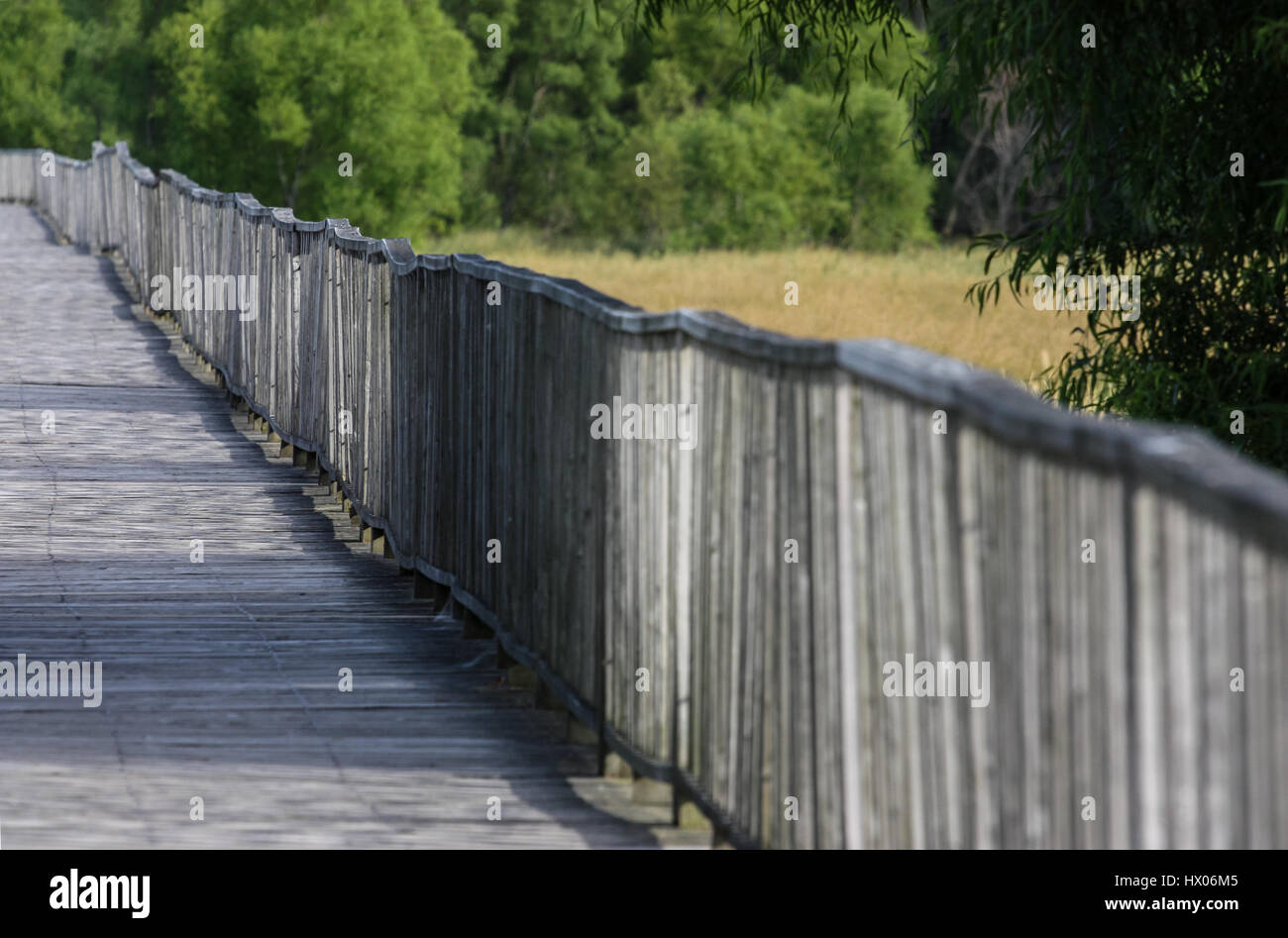 long wooden pathway in the forest Stock Photo - Alamy
