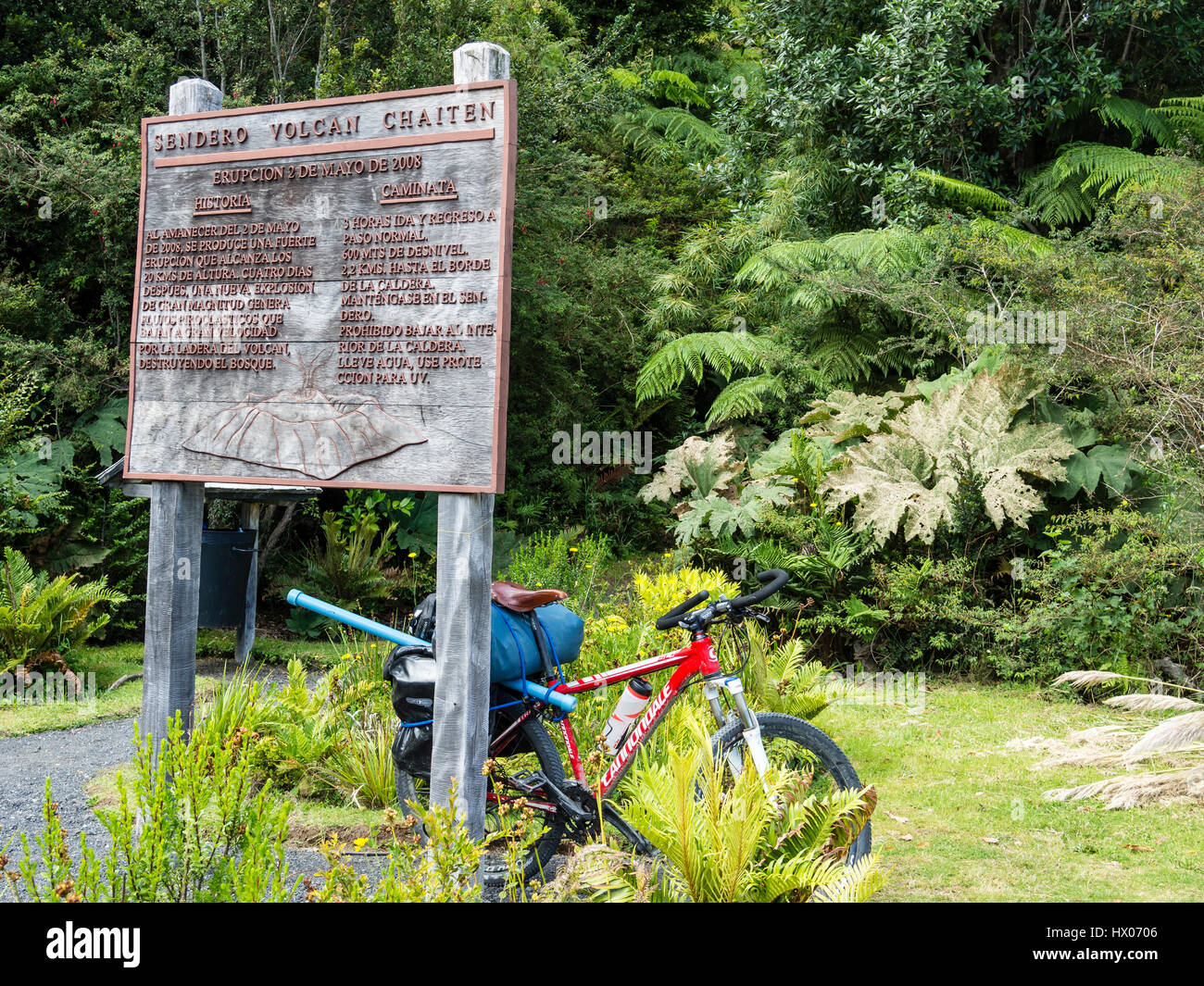Starting point of the hiking trail up to the crater of volcano Chaiten,  green ferns and rain forest vegetation, park Pumalin, Patagonia, Chile  Stock Photo - Alamy