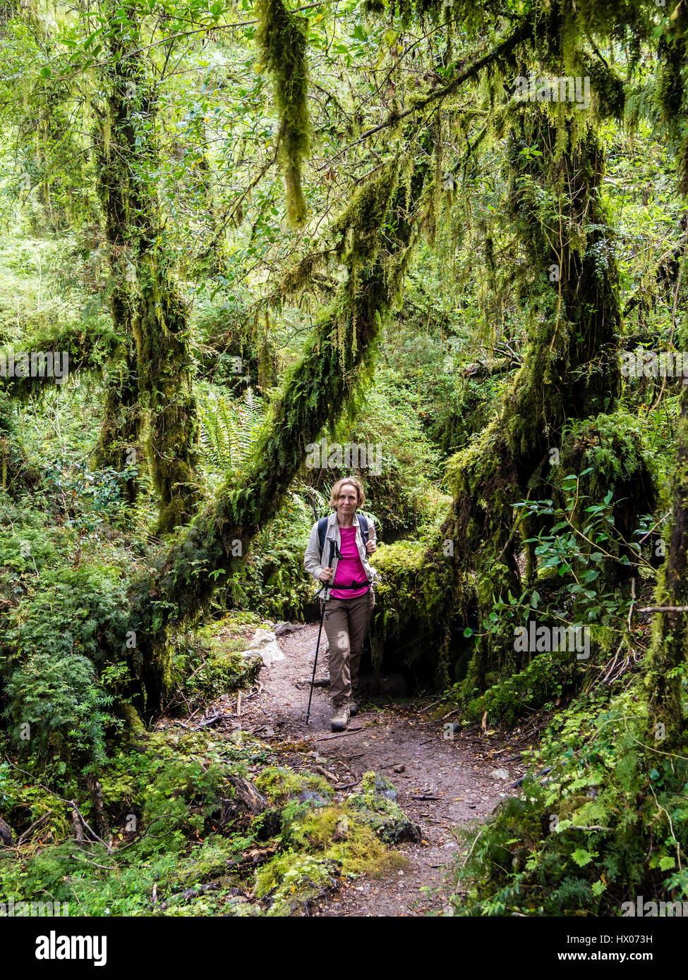 Woman path forest hi-res stock photography and images - Alamy