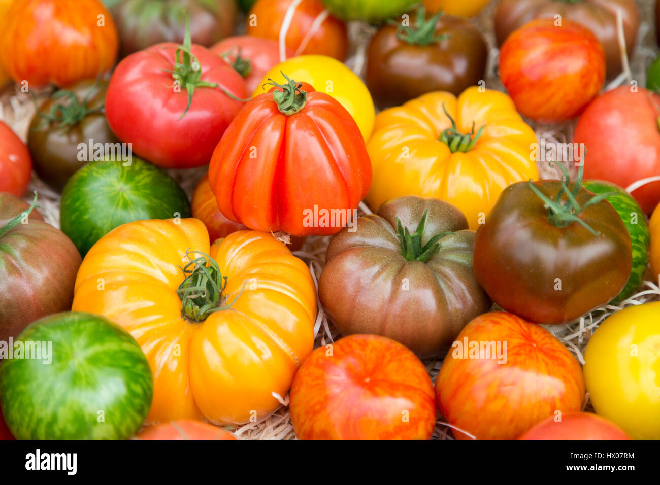 France, Nice, Market of Cours de Selaya, Les Ponchettes, stall selling colourful tomatoes. Stock Photo