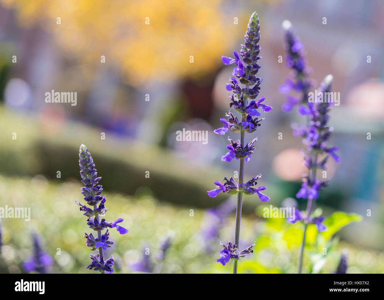 Most beautiful time of the day hi-res stock photography and images - Alamy