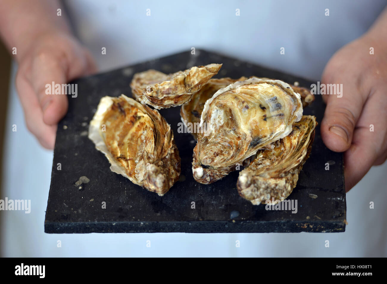 Whitstable oysters Stock Photo