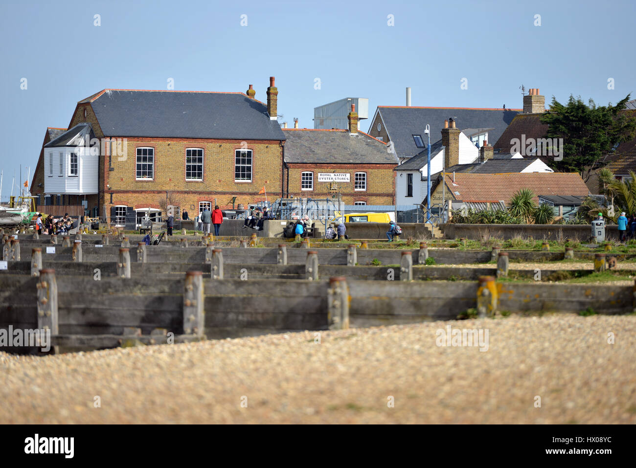 Whitstable Oyster Fishery company, Kent Stock Photo