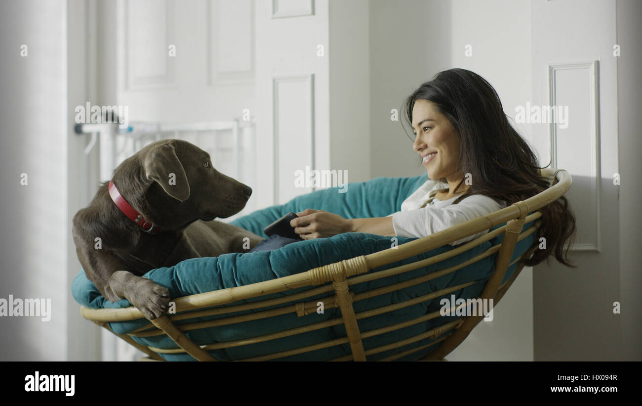 Low angle view of pet dog and woman using smartphone and sitting in chair Stock Photo