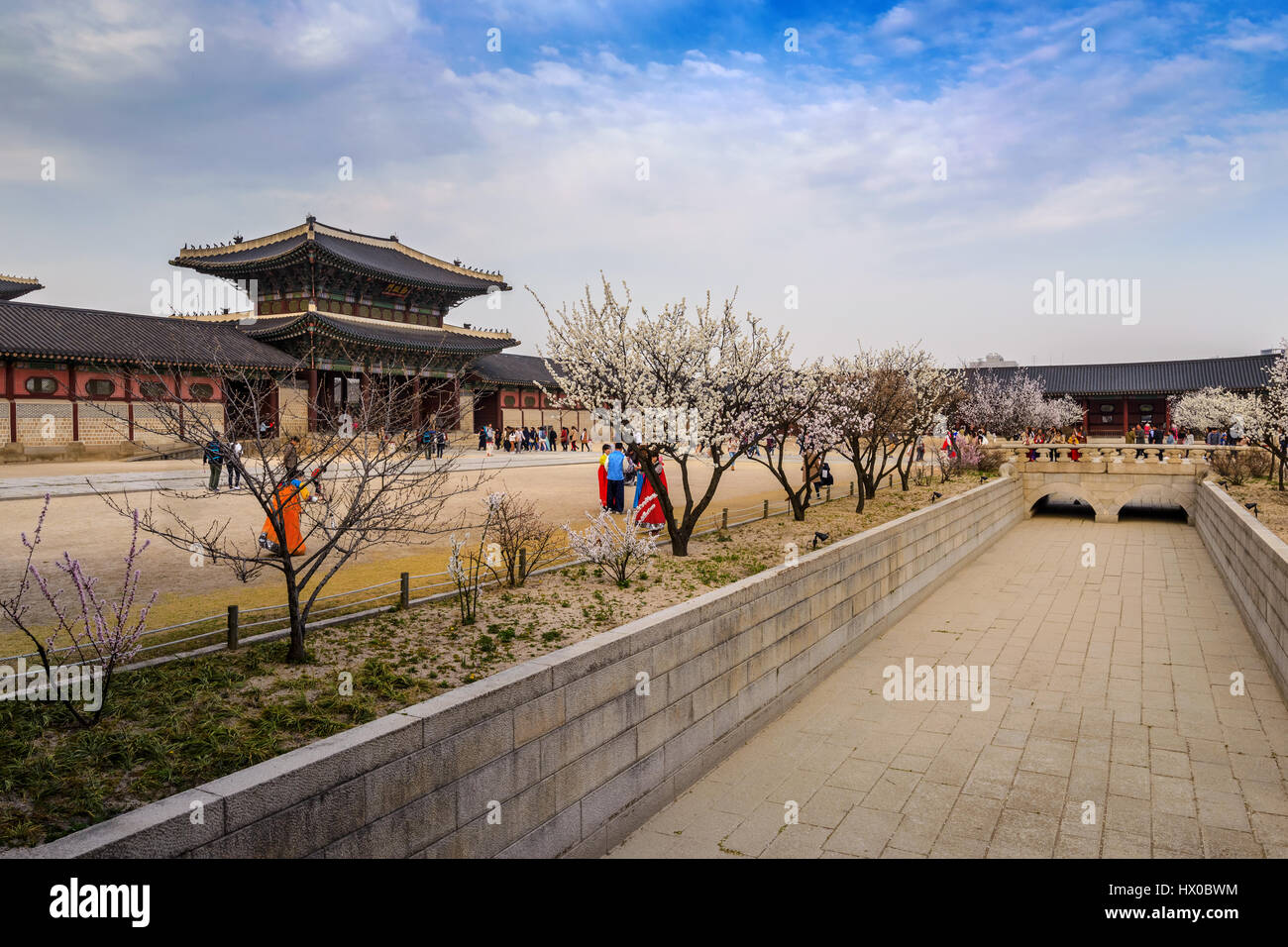 Spring Cherry blossom or sakura in Seoul, South Korea (on sign board is Heungnyemun name of gate) Stock Photo