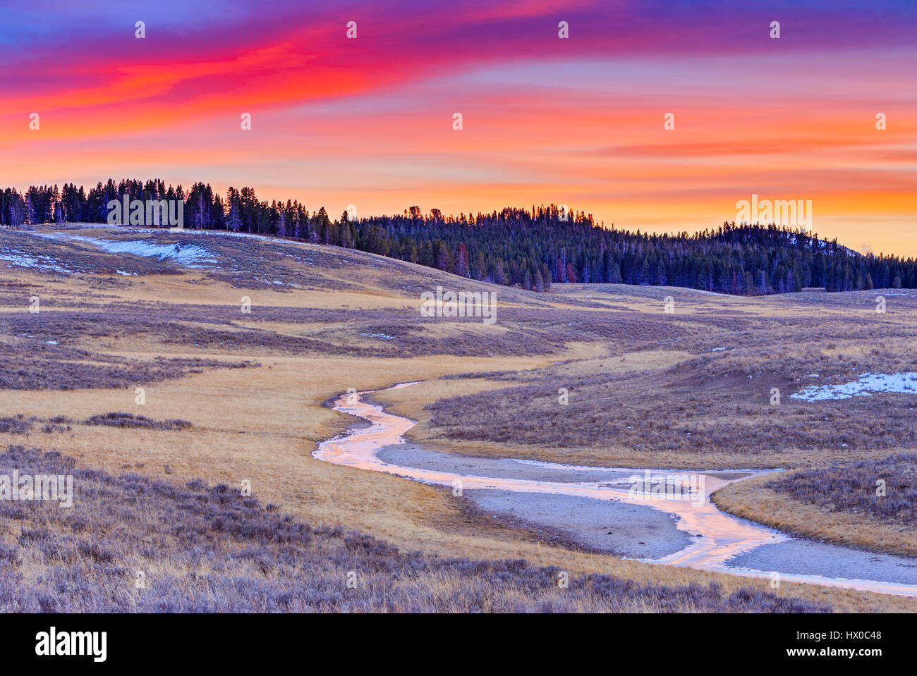 Hayden Valley in Yellowstone National Park, Wyoming Stock Photo Alamy