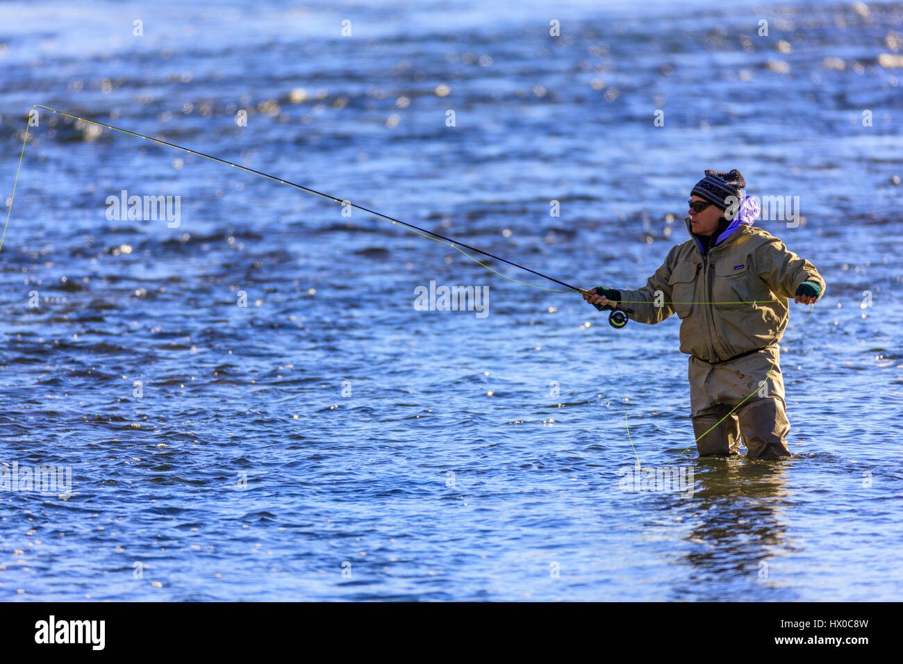Fly fishing in Yellowstone National Park Stock Photo Alamy