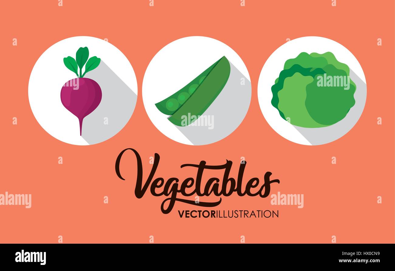 healthy vegetables icon Stock Vector Image & Art - Alamy
