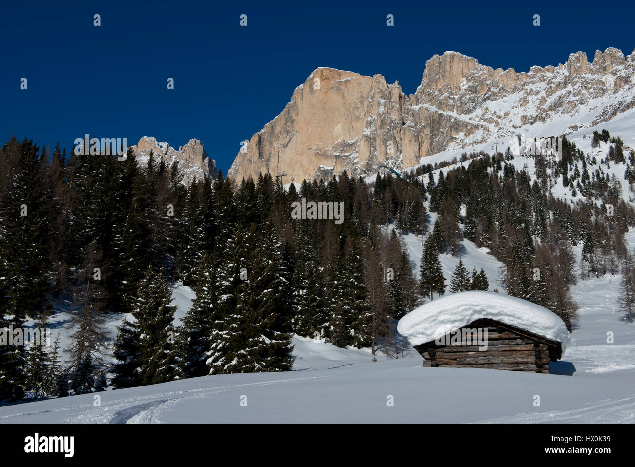 Chalet and trees under the snow in the idyllic landscape of the dolomiti in Trentino South Tyrol Stock Photo