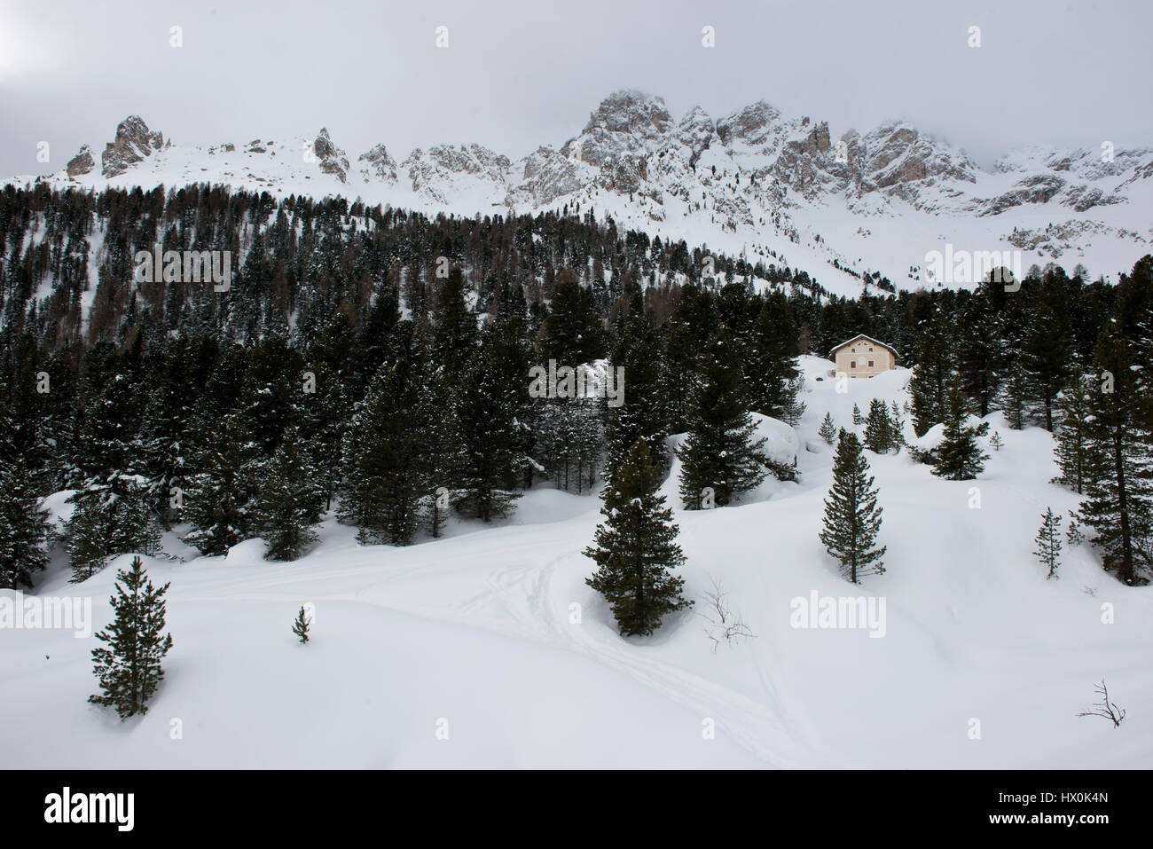The idyllic panorama of the snowy forest and peaks in the Dolomiti. Stock Photo