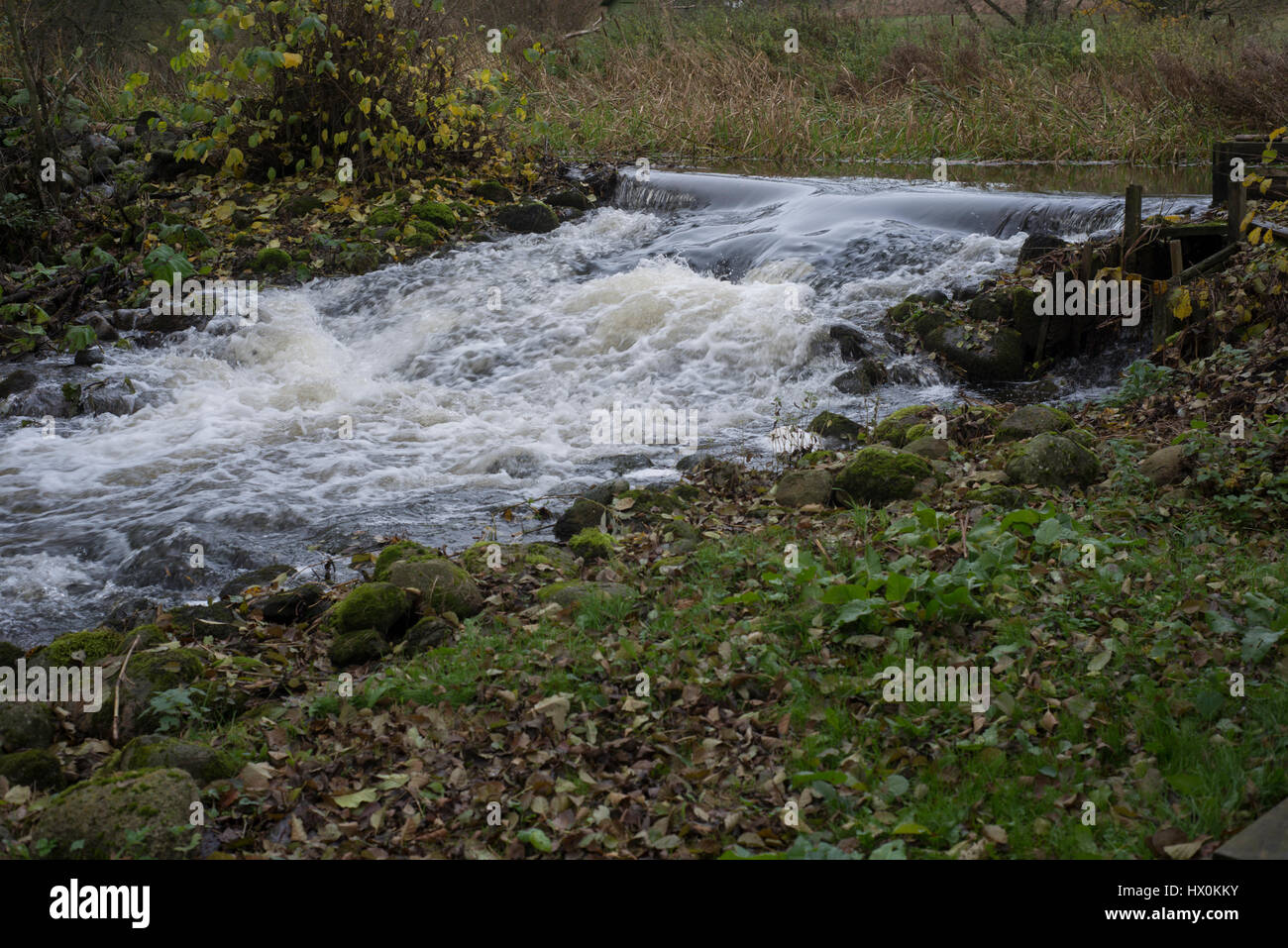 Salmon ladder for sea trout in river Nybroån, Sweden Stock Photo