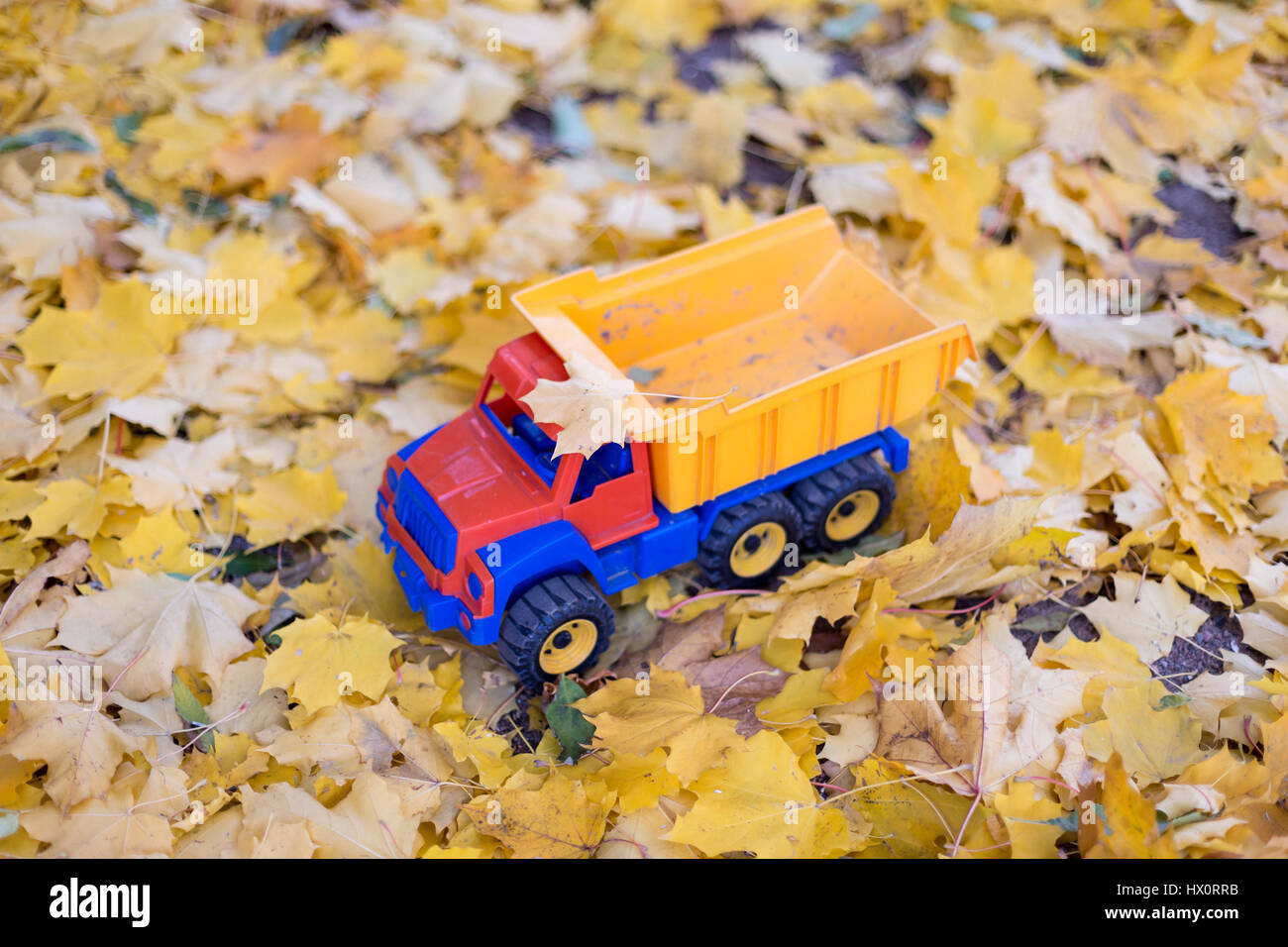 Fun Fall Vehicles Lost Toy car truck outdoors in autumn Stock Photo - Alamy