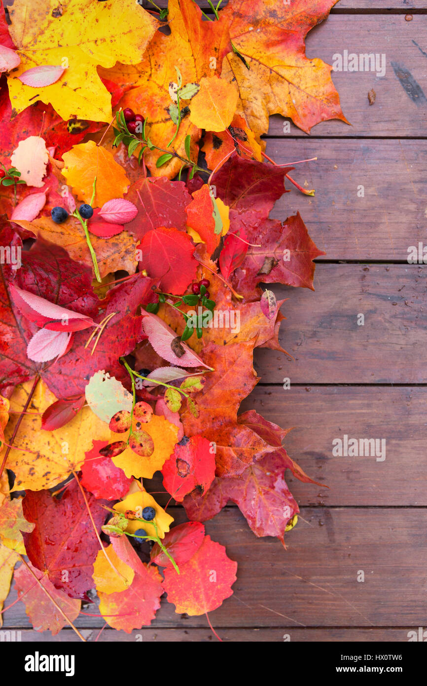 Fall leaves on wooden background autumn design Stock Photo - Alamy