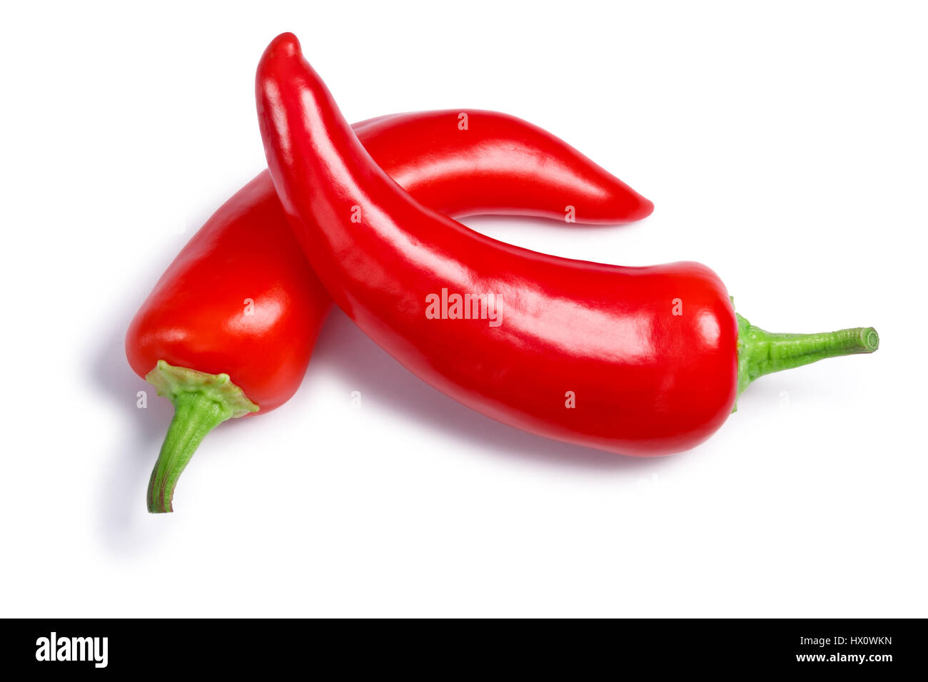 Hungarian Hot Wax or Paprika peppers (Capsicum annuum), crossed