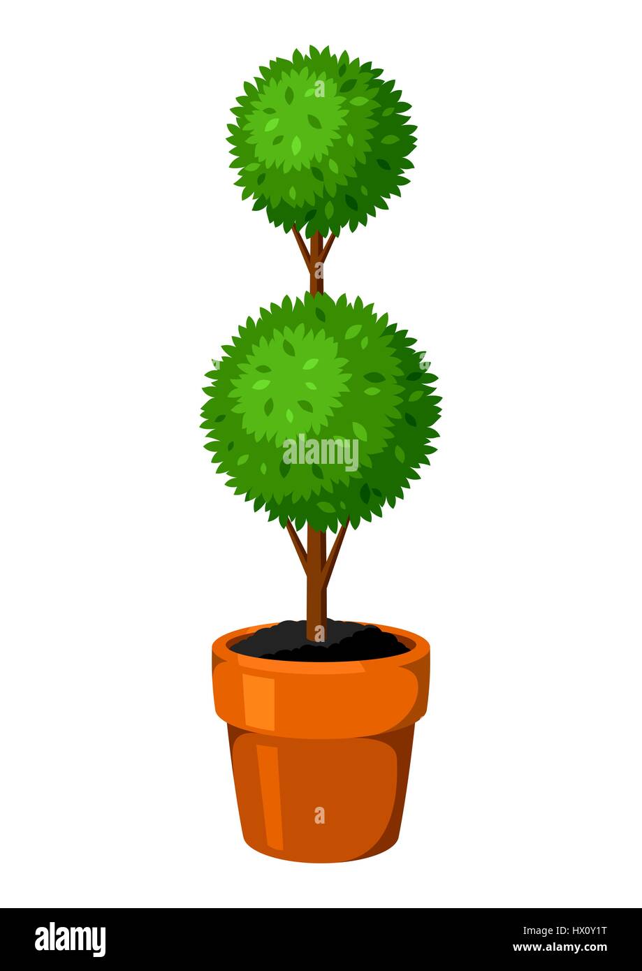 Boxwood Tree Vector File Boxwood topiary garden plant. Decorative tree in flowerpot Stock Vector ...