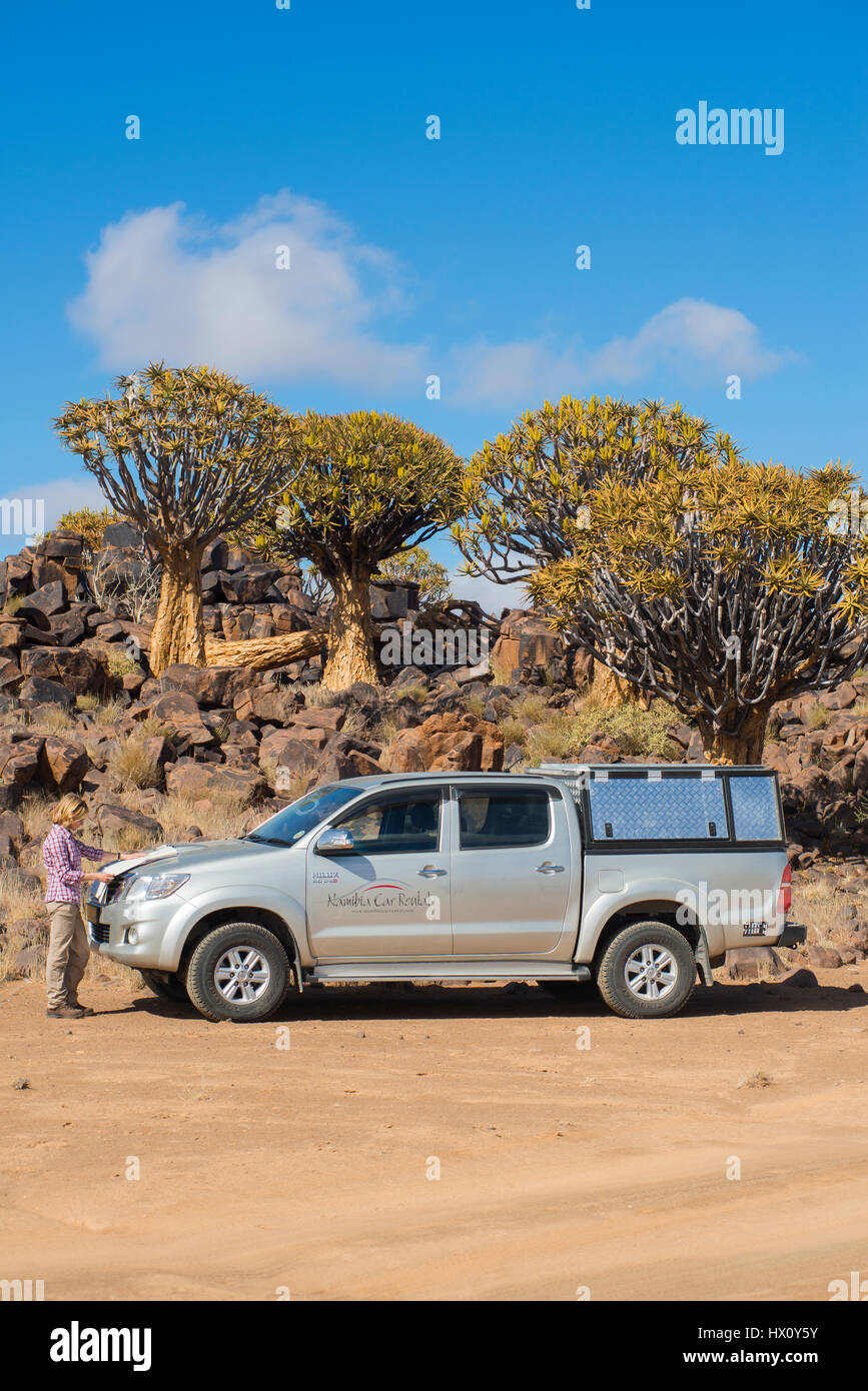 Woman reads a map in front of an offroad  vehicle, quiver trees forest (Aloe dichotoma) near Keetmanshoop, Namibia Stock Photo