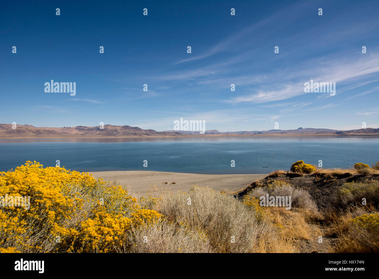 USA, Nevada, Pyramid Lake Stock Photo - Alamy