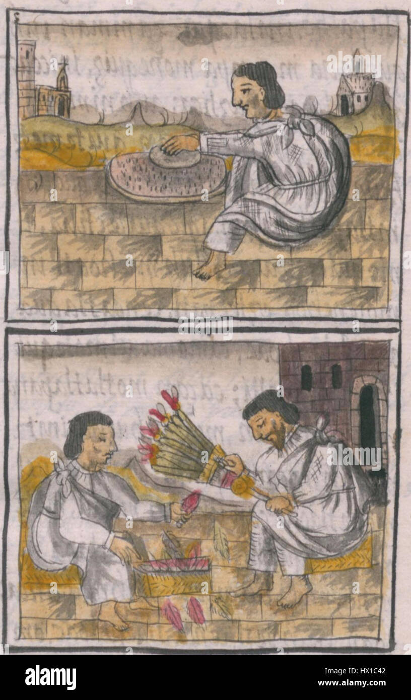 The Florentine Codex, specifically Folio 58, records the detailed ...