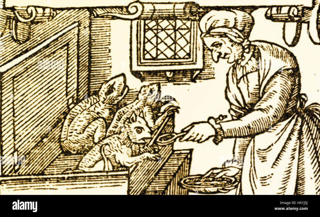 Small Imp 'Feeding Demonic Imps' is a dark, fantastical depiction of mythical ...