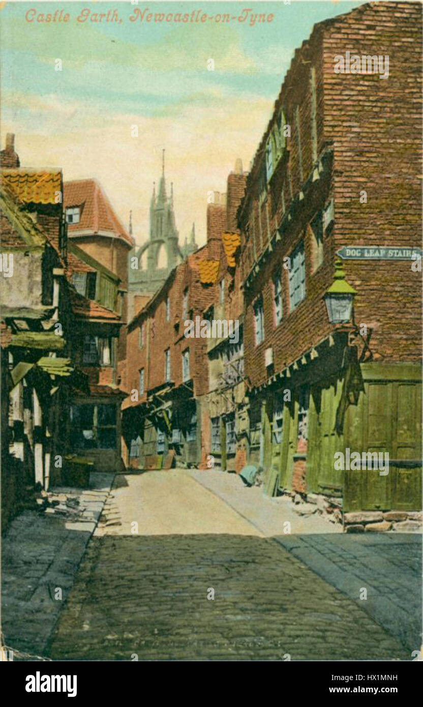 Dog Leap Stairs Stock Photo Alamy