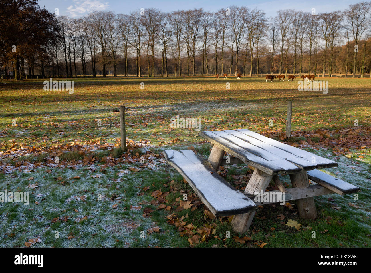 Riped picnic bench near Hernen castle in the Dutch province Gelderland Stock Photo