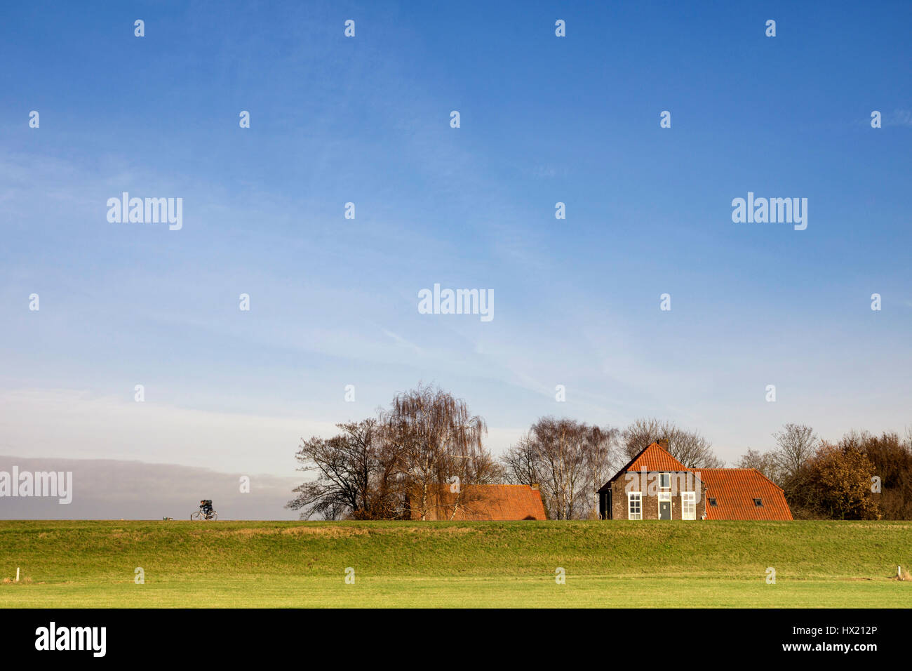 Dike near Batenburg Stock Photo Alamy