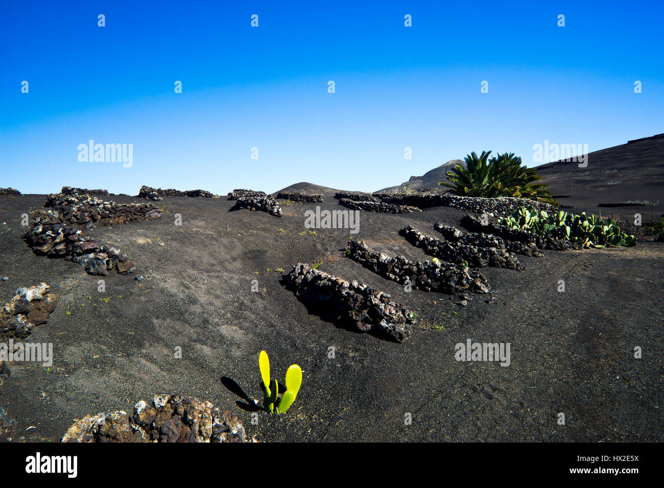 the archaic landscape of Timanfaya Nationalpark on the island of  Lanzarote Stock Photo