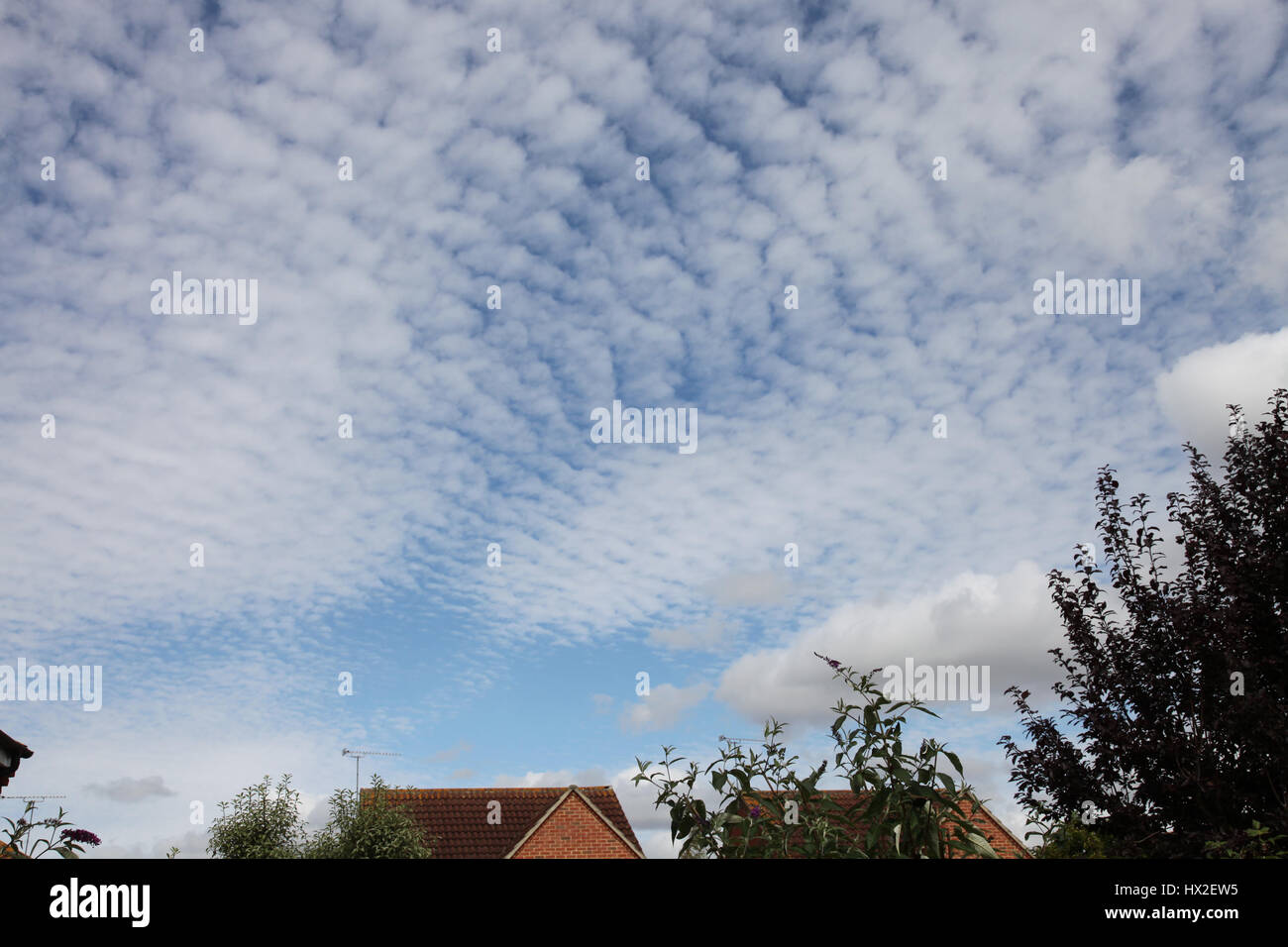 'Mackeral' cloud formation on a summer's day Stock Photo