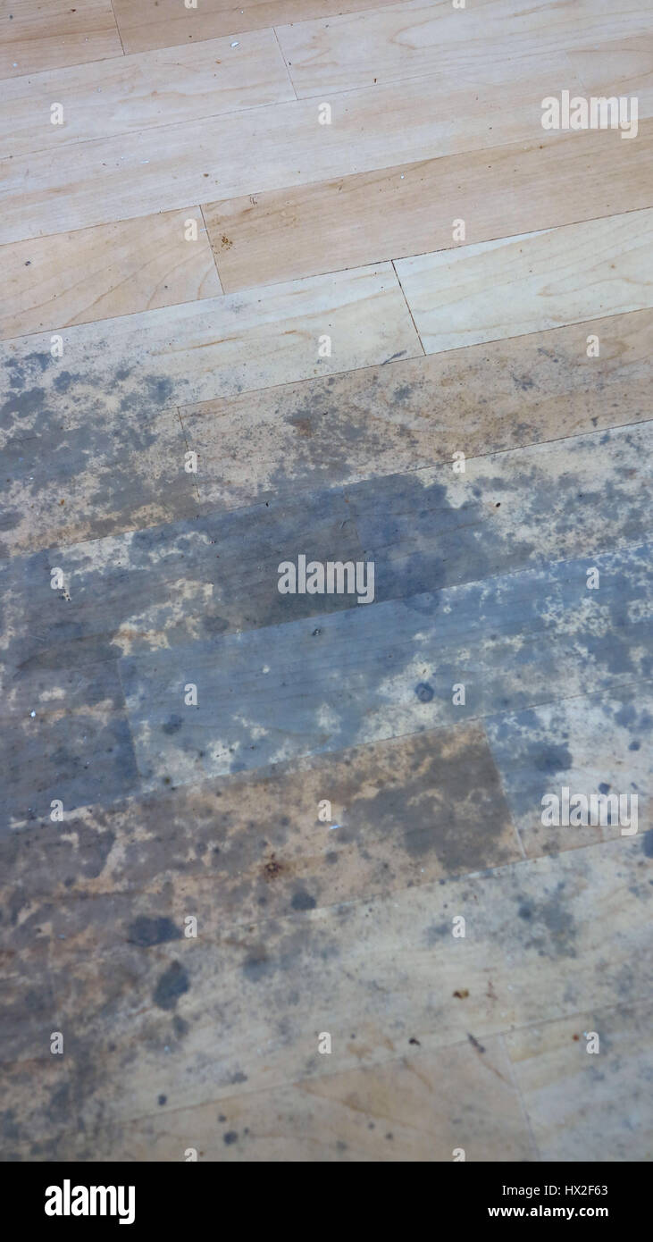 Bottom Up Stains On Vinyl Flooring Caused By Mould Growth Stock