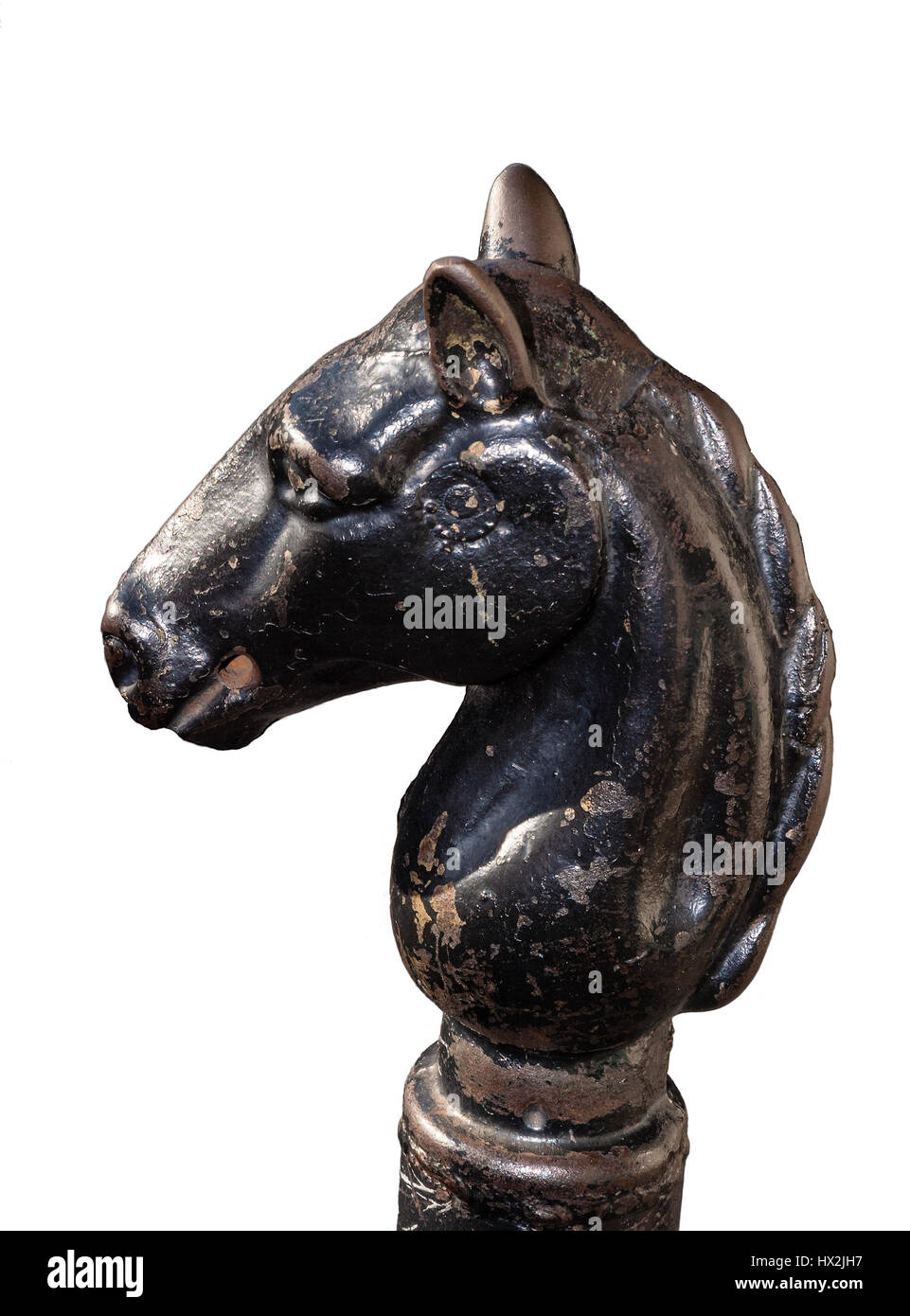 Horse head Stock Photo