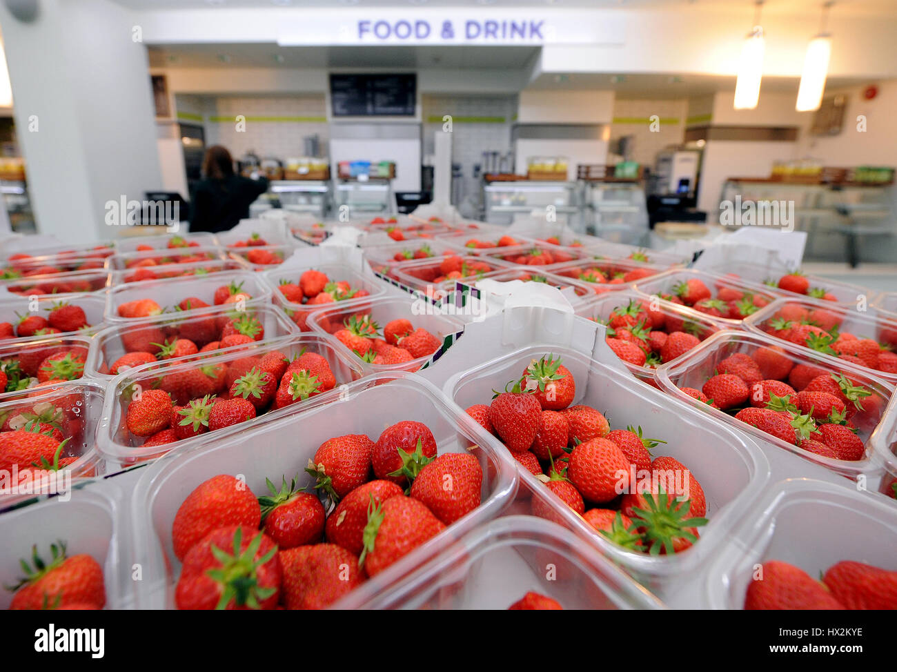 STRAWBERRIES GETTING DELIVERED THE WIMBLEDON THE WIMBLEDON CHAMPIONSHIPS 20 THE ALL ENGLAND TENNIS CLUB WIMBLEDON LONDON ENGL Stock Photo