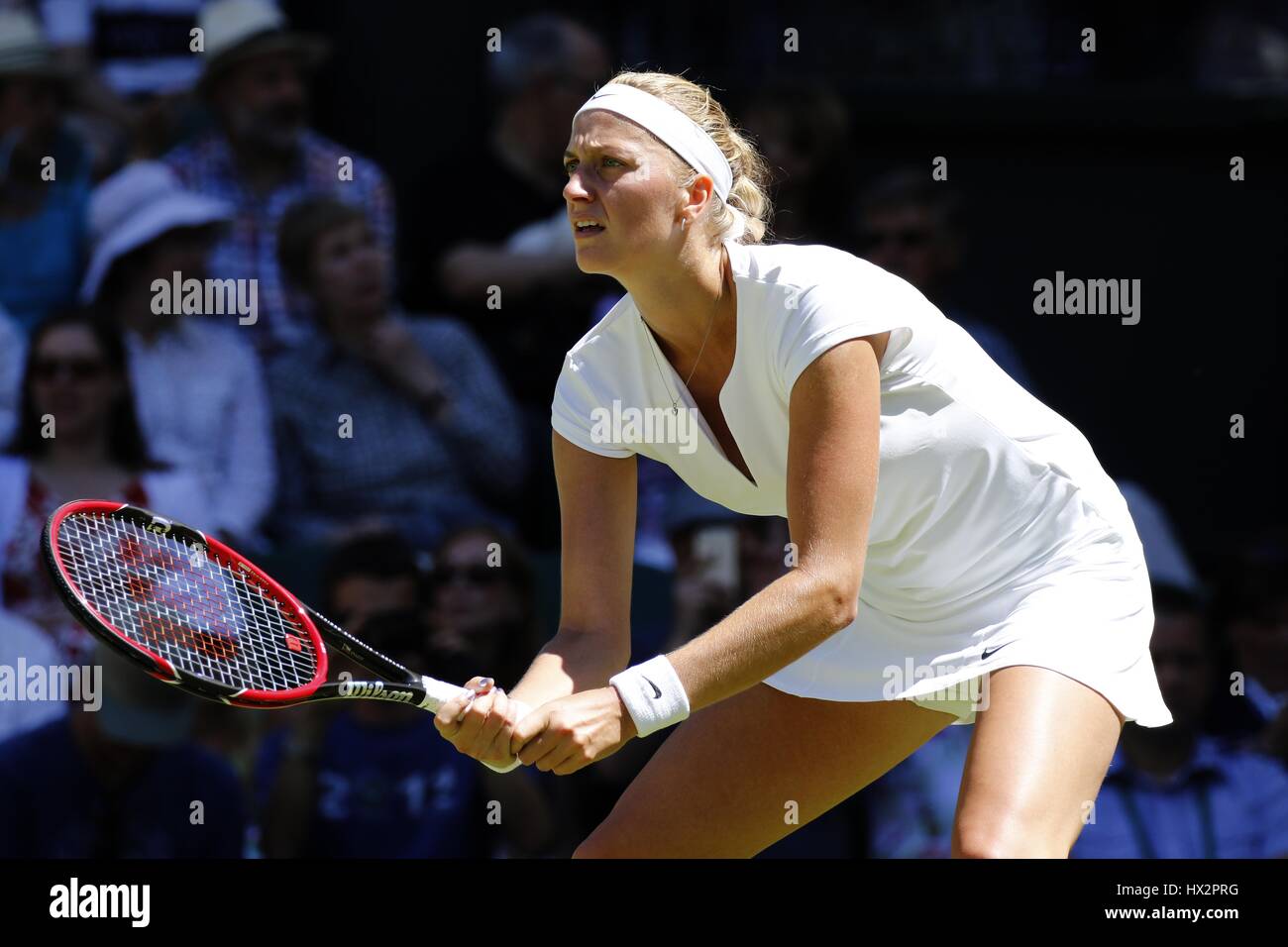 Petra Kvitova High Resolution Stock Photography And Images Alamy