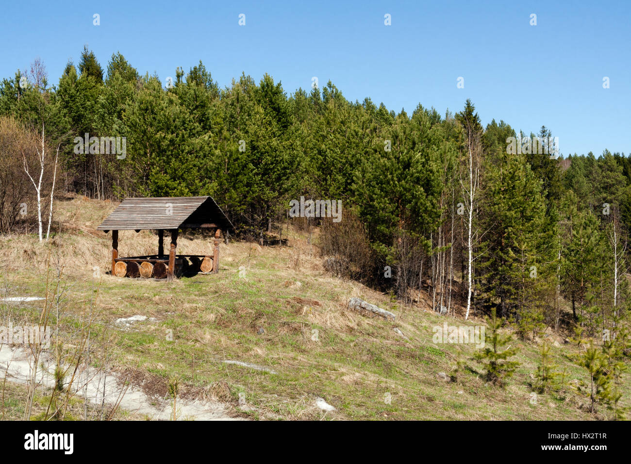 Wooden pergola on hillside near pine forest in spring. Stock Photo
