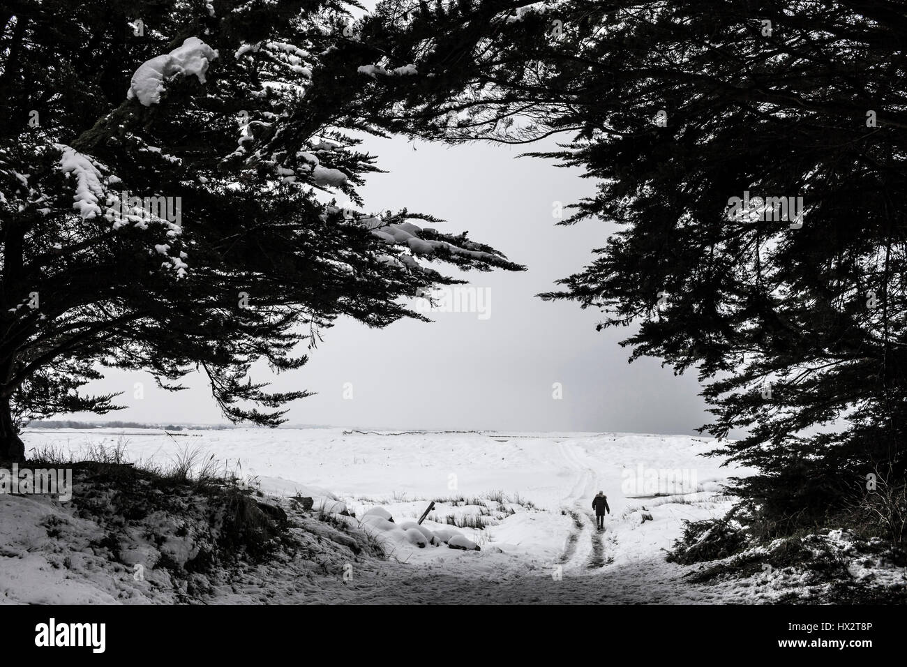 Brouains (Normandy, north-western France): landscape of the Brouains valley covered in snow Stock Photo
