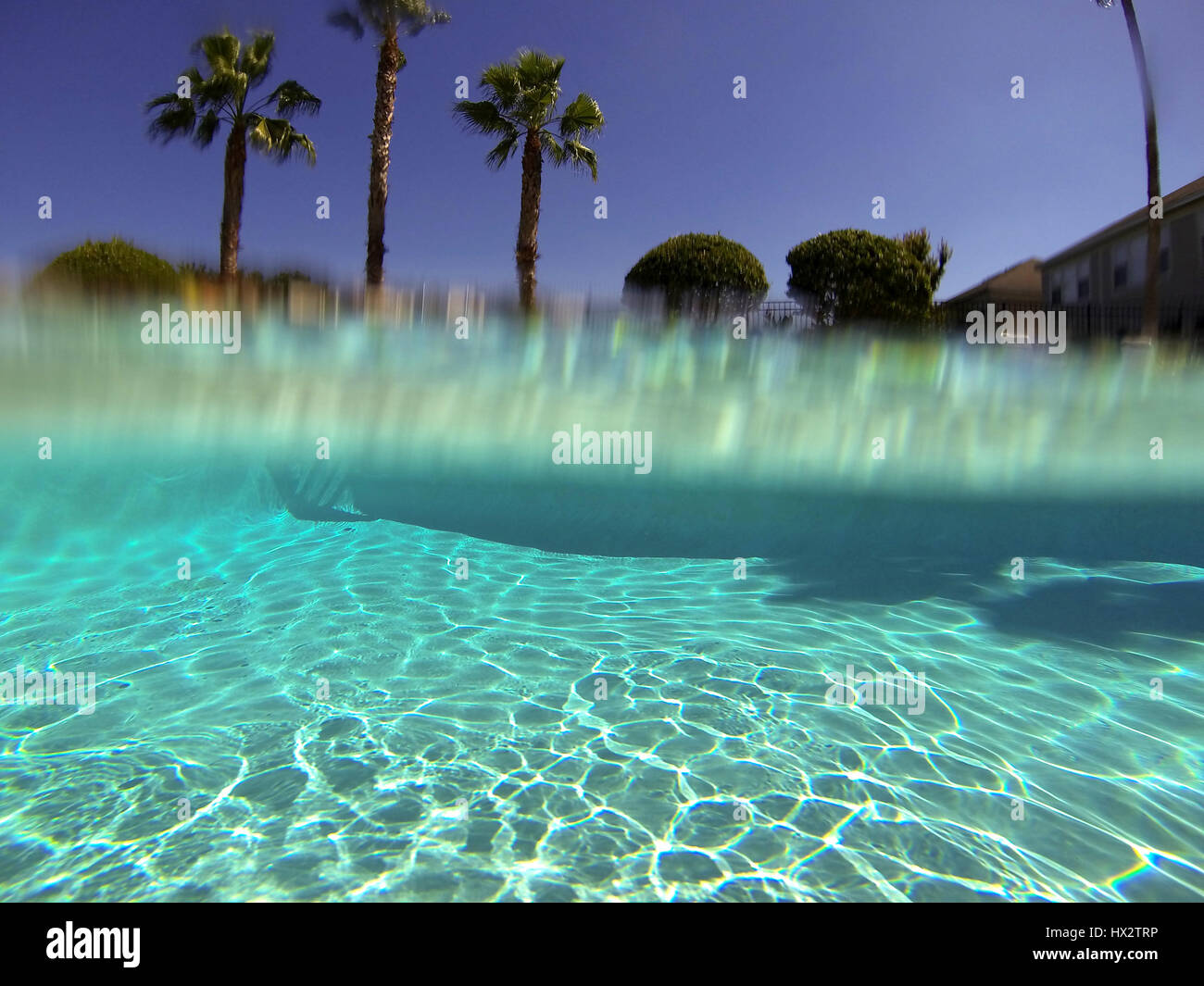 swimming pool camera half underwater Stock Photo - Alamy