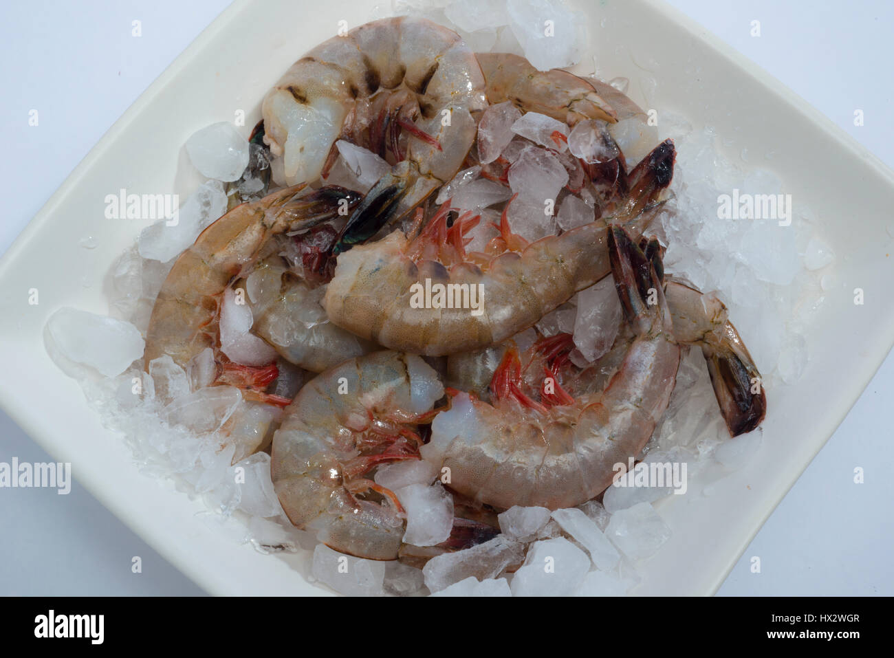 um-cooked shrimp on ice Stock Photo