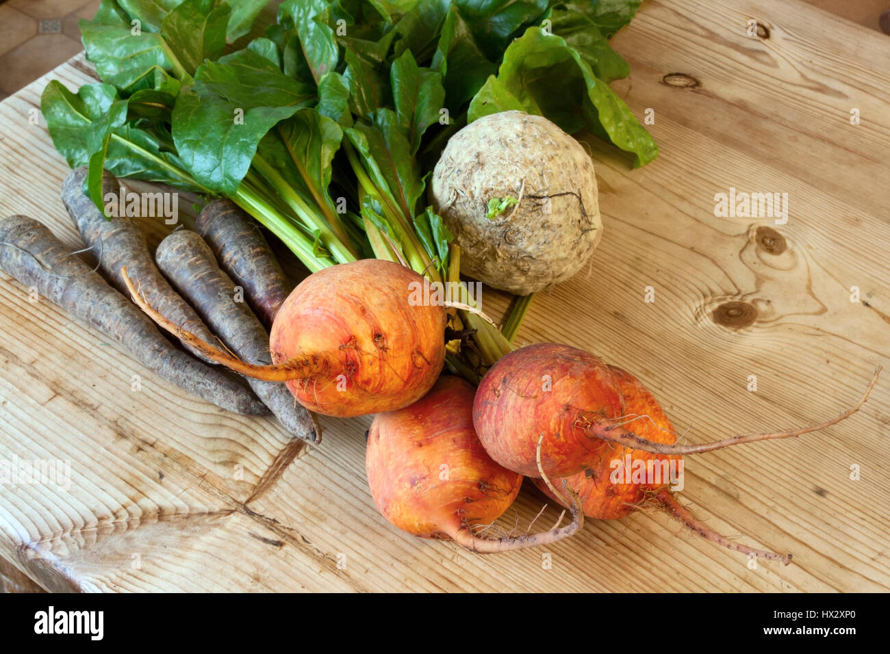 Unusual vegetables including golden beetroot and purple carrots Stock Photo