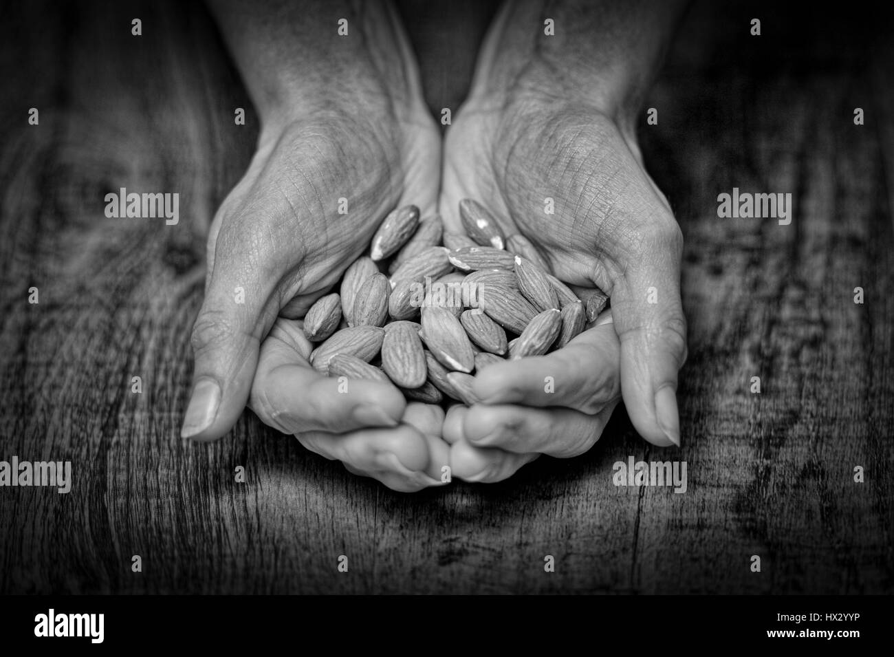 hands holding almonds Stock Photo