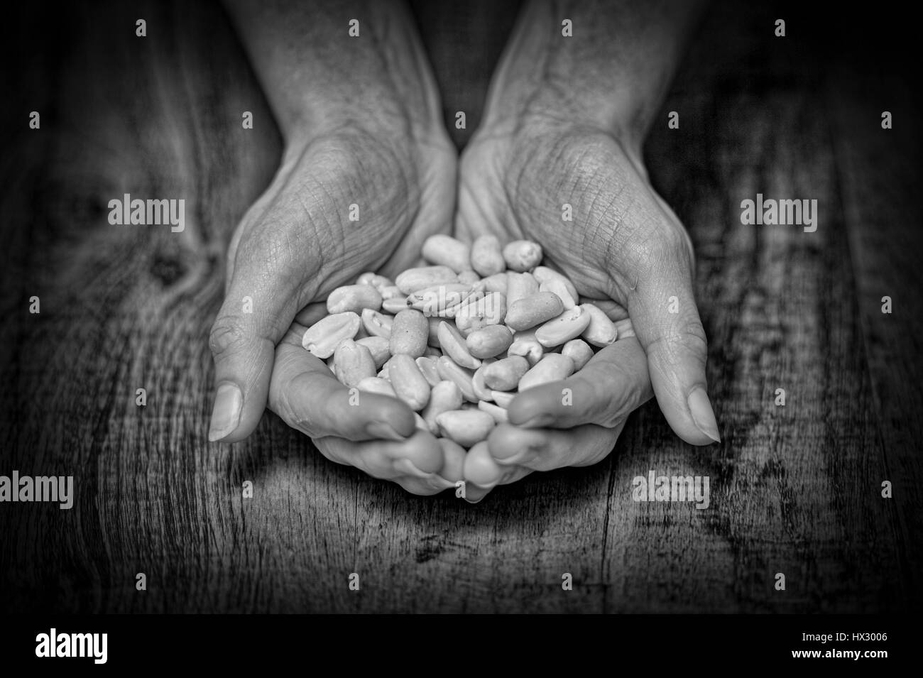 hands holding peanuts Stock Photo