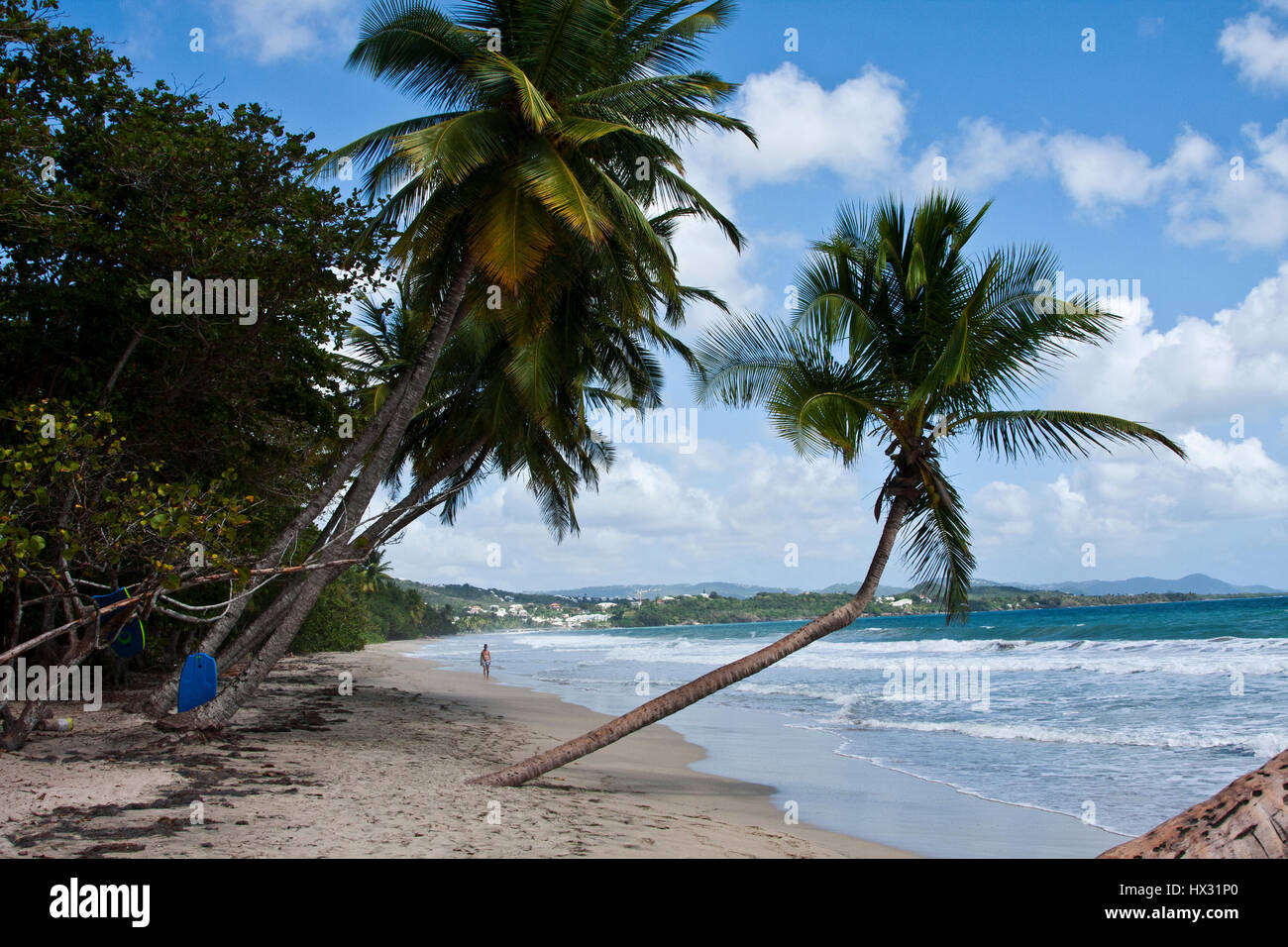 Martinique, le Diamante, town, beach, Rock, Island, British ship, palms, sandy beach, south coast, Stock Photo