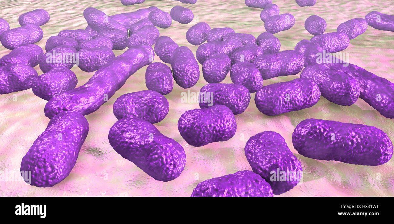 Multi-drug resistant Acinetobacter baumannii bacteria,computer illustration.A.baumannii is Gram-negative,oxidase negative,aerobic,coccobacillus.It has always been naturally resistant to multiple antibiotics.It can be especially resistant to penicillin chloramphenicol.It causes various nosocomial Stock Photo