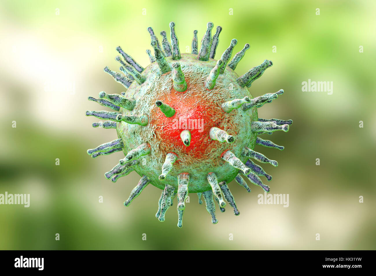 Epstein-Barr virus (EBV) destruction, computer illustration. Conceptual image for EBV infection treatment and prevention. EBV, also known as human herpes virus 4, is 1 of 8 herpes viruses that infects humans. It is best known as the cause of infectious mononucleosis (glandular fever), but is also associated with some forms of cancer, including Burkitt's lymphoma. In both infections, the virus infects one type of white blood cell, B lymphocytes. Infection with EBV is common and usually harmless; additional factors potentiate the development of more serious diseases. Stock Photo