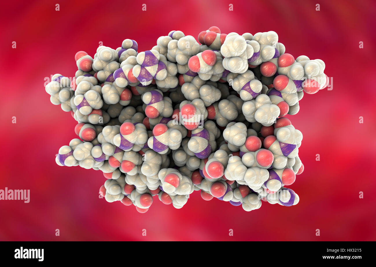 Human interferon alpha, molecular model. Interferons are proteins