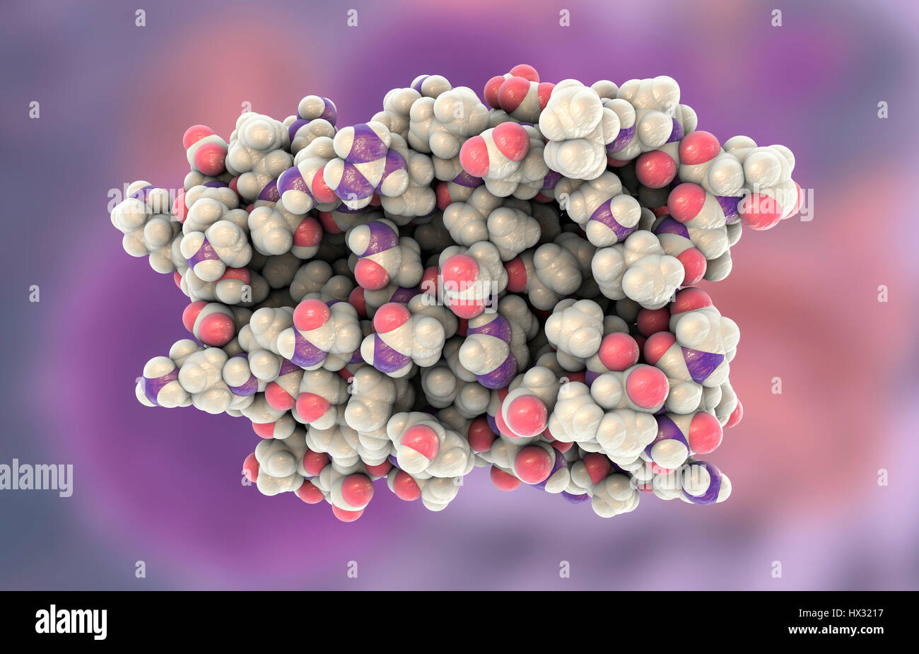 Human interferon alpha, molecular model. Interferons are proteins produced by white blood cells as part of the immune response to invading pathogens, especially viruses. Stock Photo