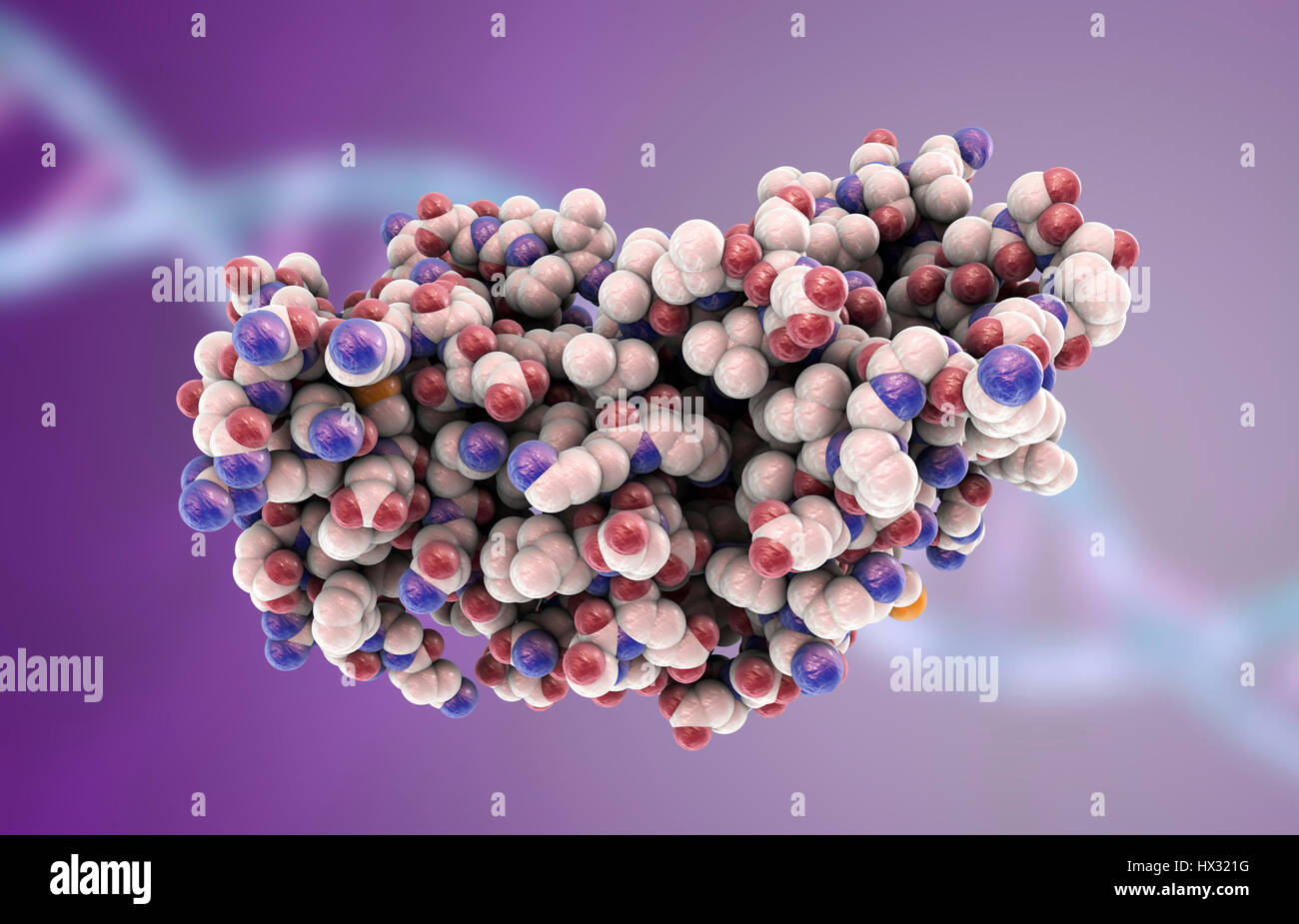 Interferon gamma, molecular model. Interferon gamma is produced by ...