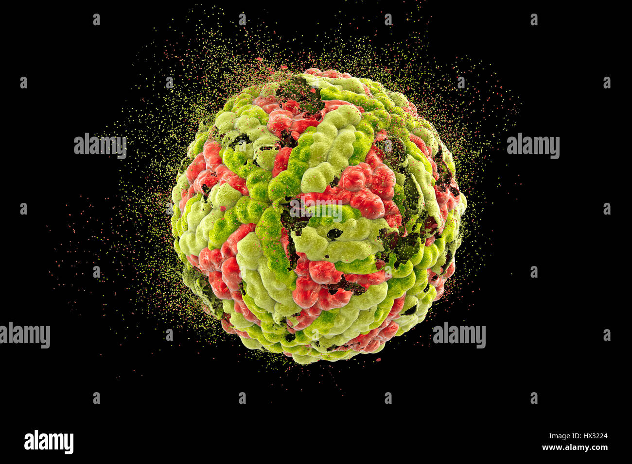 Interferon gamma, molecular model. Interferon gamma is produced by
