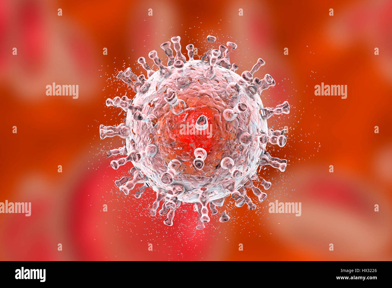 Destruction of Kaposi's sarcoma herpesvirus (KSHV), computer illustration. Conceptual image for Kaposi's sarcoma treatment and prevention. KSHV, or human herpesvirus 8, is an oncovirus, a virus that can cause cancer. Its name is derived from being the causative agent of Kaposi's sarcoma in patients with AIDS (acquired immune deficiency syndrome). The capsid surrounds the viral DNA (deoxyribonucleic acid) and is in turn surrounded by tegument protein and a lipid membrane. Stock Photo