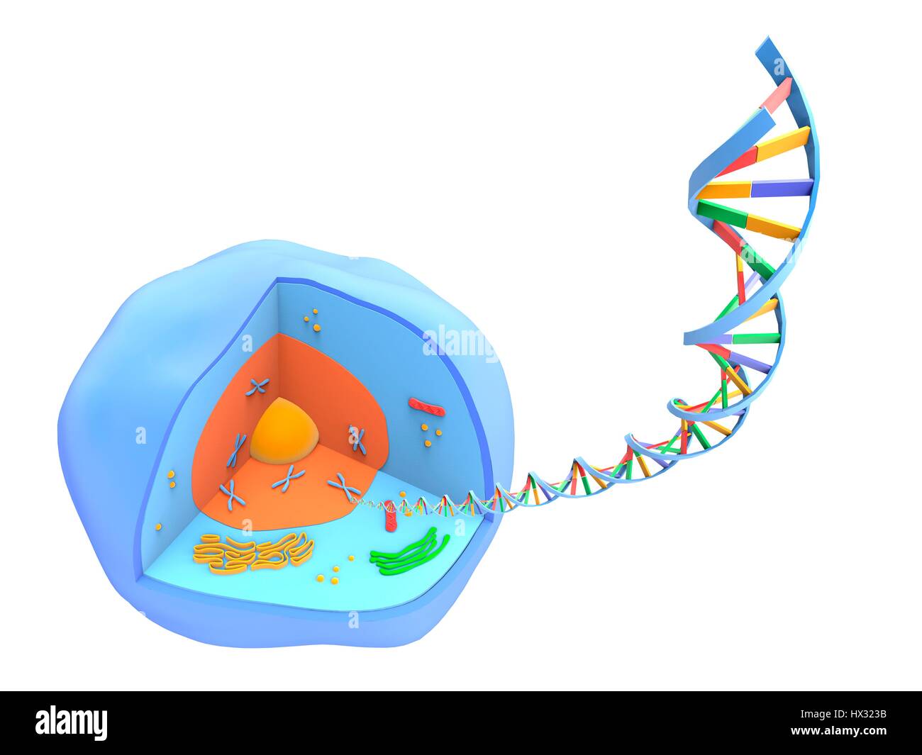 Computer artwork of a strand of the material DNA
